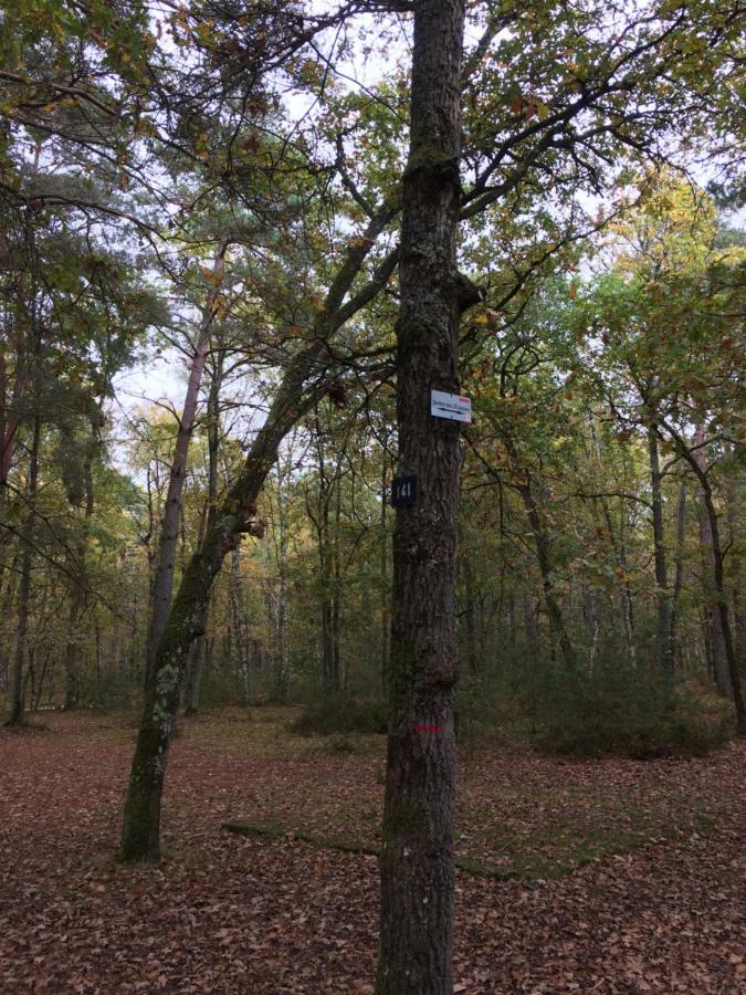 Gite Cosy Proche Fontainebleau Et Foret Noisy-sur-Ecole Bagian luar foto